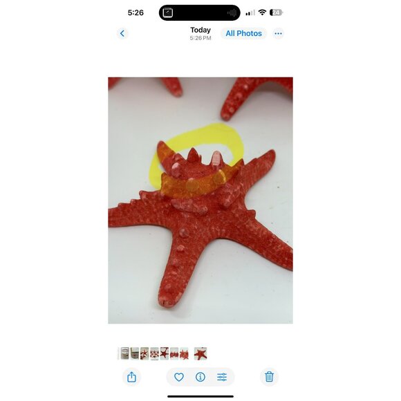 Red Decorative Starfish Set of 8 - 5" Textured Coastal Beach Nautical Decor - Picture 3 of 10